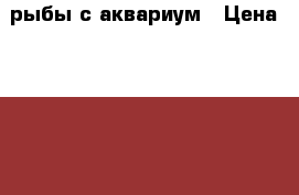 рыбы с аквариум › Цена ­ 4 000 - Челябинская обл., Усть-Катав г. Животные и растения » Аквариумистика   